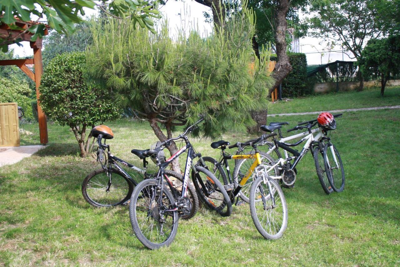 Holiday Home Radmila プレマントゥーラ エクステリア 写真